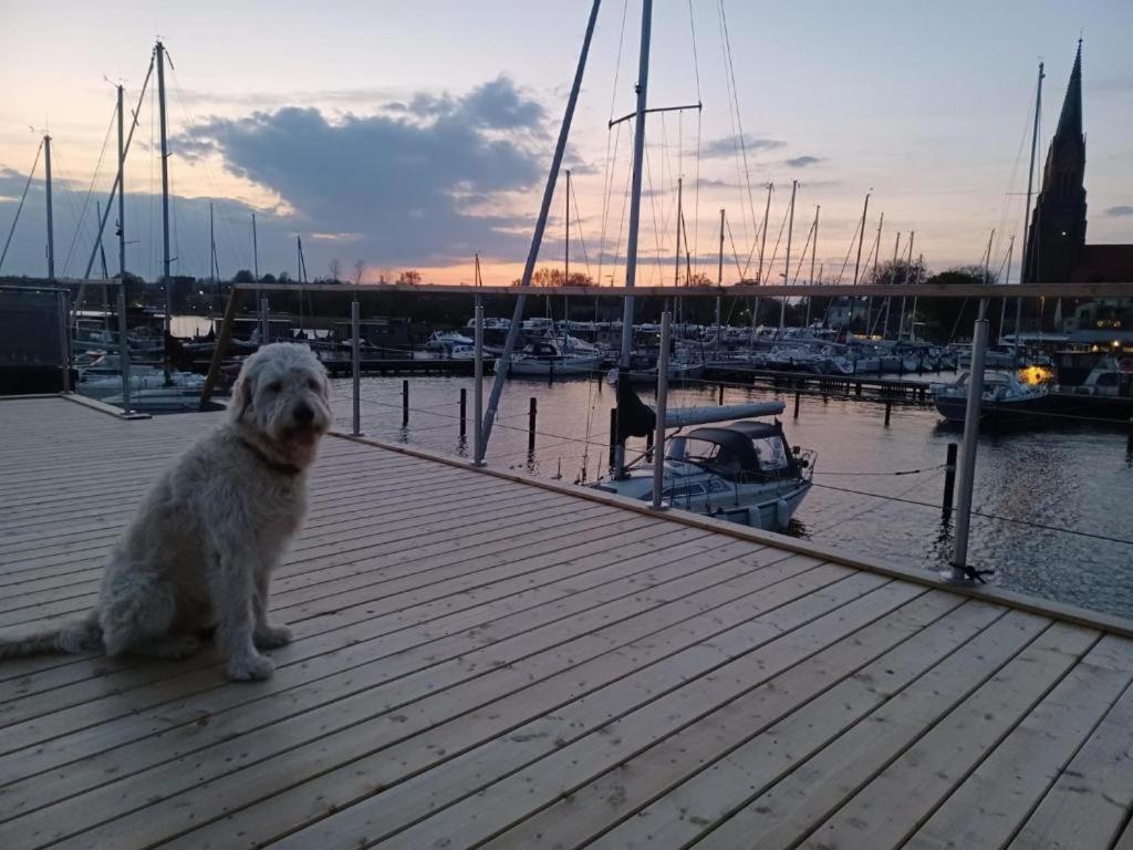 Hausboot Gluecksmomente Mit Dachterrasse In Am Ostseefjord Schlei Botel Schleswig